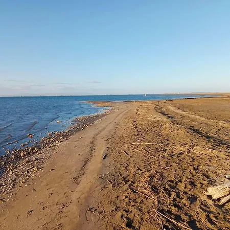 Rincon Del Delta, En El Delta Del Ebro, Playa Trabucador Amposta, Tarragona L'Eucaliptus