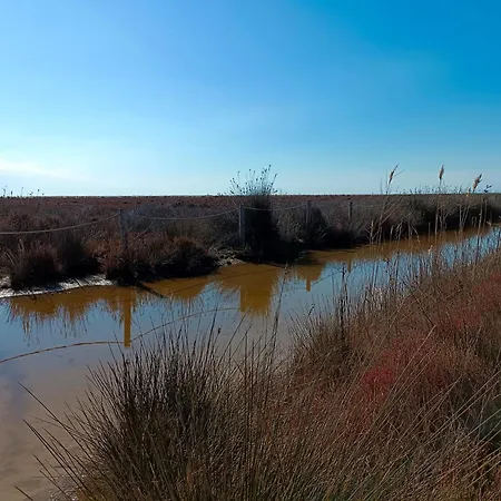 Rincon Del Delta, En El Delta Del Ebro, Playa Trabucador Amposta, Tarragona *