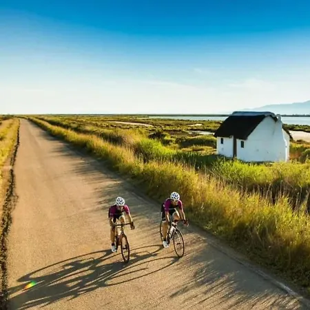Rincon Del Delta, En El Delta Del Ebro, Playa Trabucador Amposta, Tarragona Apartamento L'Eucaliptus